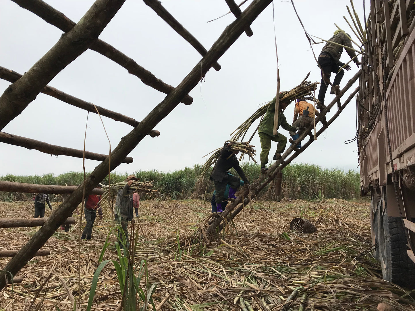 005 – Zucker, Muang Sing