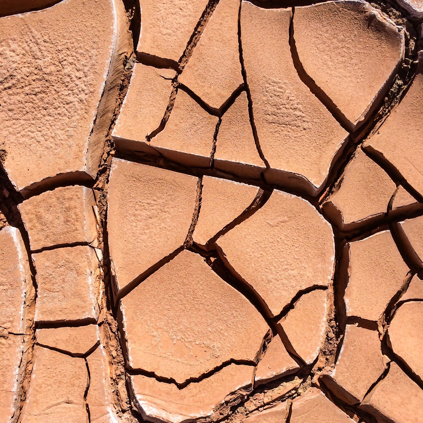 269 – 400 Jahre ohne Regen, Atacama