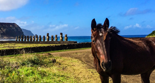 061 – Ahu Tongariki, Rapa Nui 2014