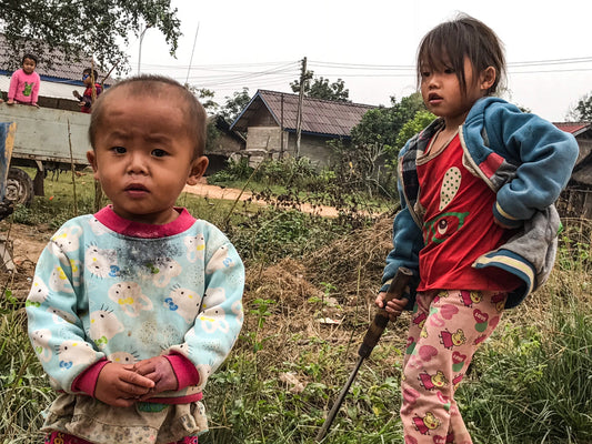 119 - Learn to Use the Billhook, Laos 2018