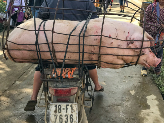 134 - Lots of Sausages, Vietnam 2018