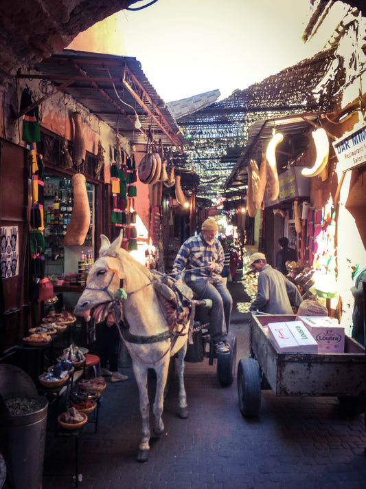 164 - Pferd in Marrakesch, Marokko