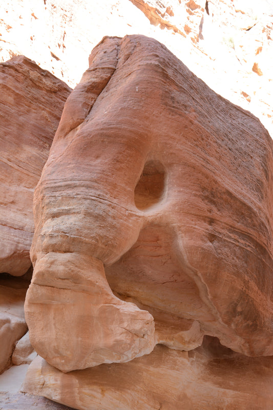 173 - Petra, Jordan