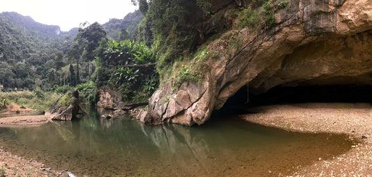 183 - Phong Nha-Ke Bang, Vietnam