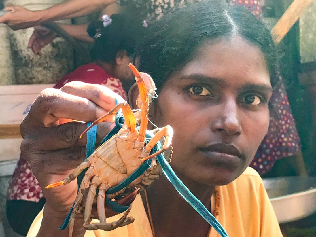 361 - The Crab Girl, Yangon