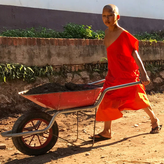 375 - Monk Boy, Laos