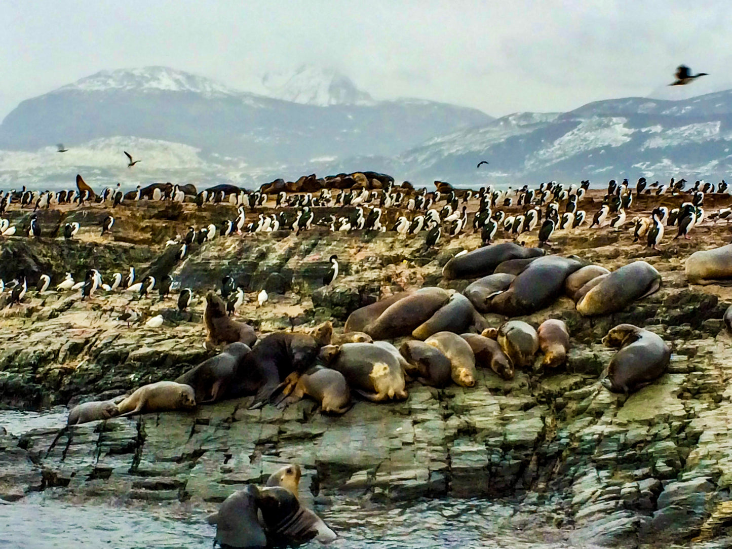 388 - Where the Earth Ends, Cape Horn